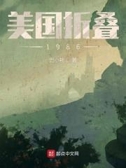 美国电动折叠自行车